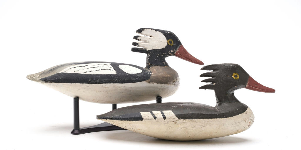 Doug Jester – Hooded Merganser – 2026