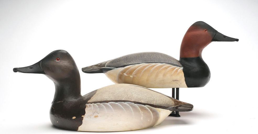 Ward Brothers – Pair of Canvasback – 2026