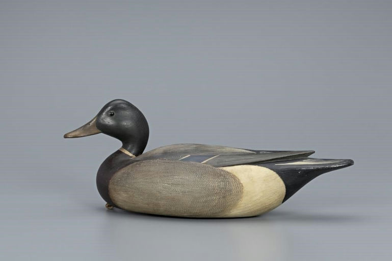 Mark McNair – Early Mallard Drake – 2019