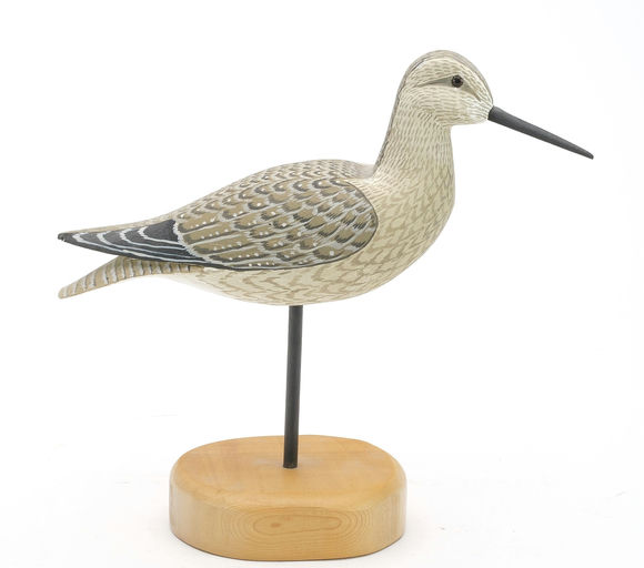 Harry V. Shourds – Willet – 2024