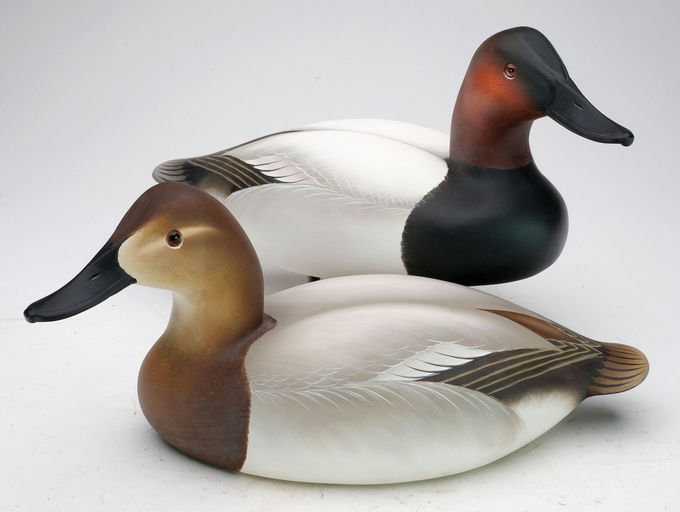 Charlie Joiner – Pair of Canvasbacks – 2024