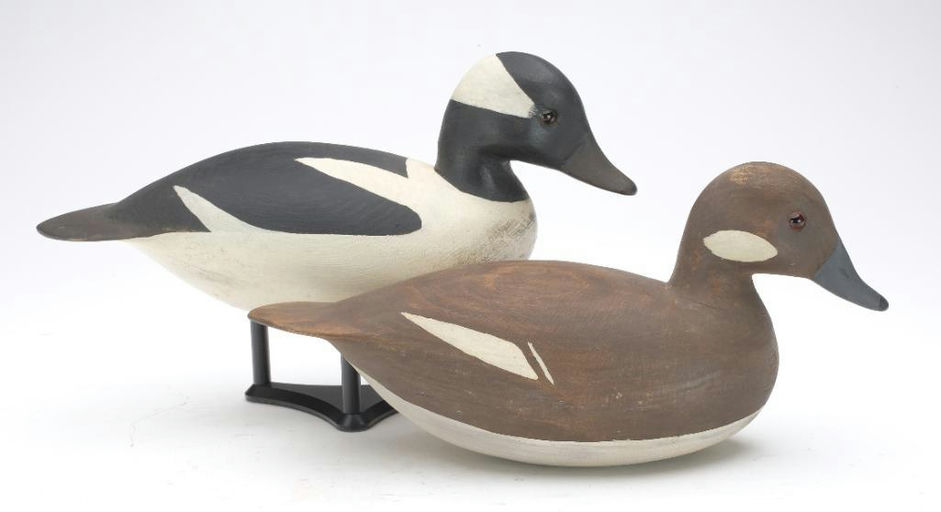 Hurley Conklin – Pair of Bufflehead – 2023