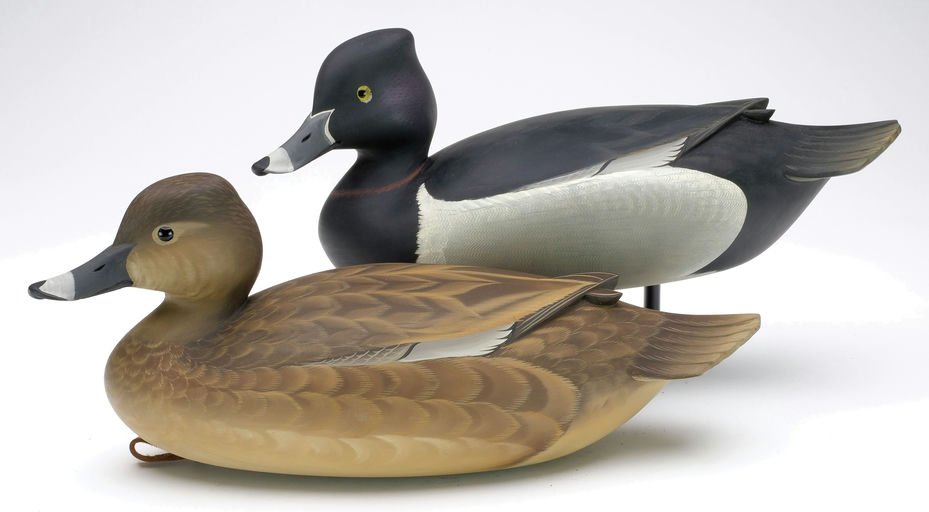George Strunk – Pair of Ringneck – 2024