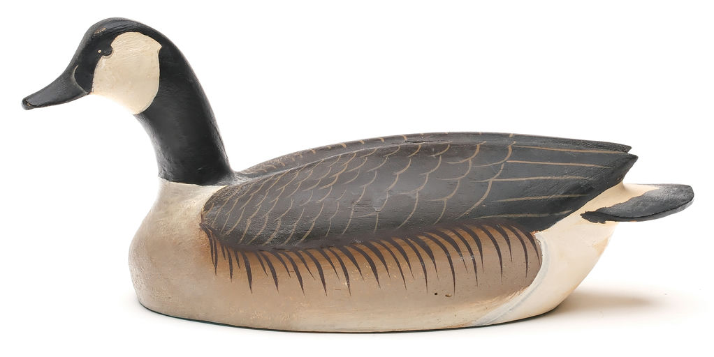 Ward Brothers – Canada goose – 2026
