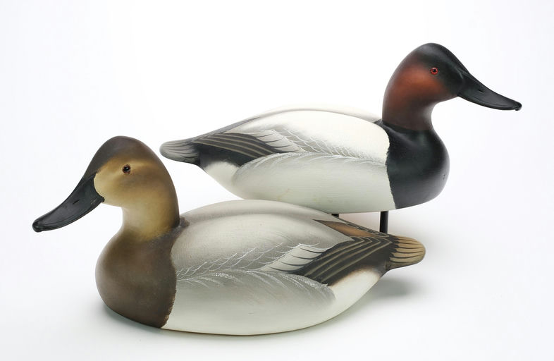 Charlie Joiner – Pair of Canvasbacks – 2024