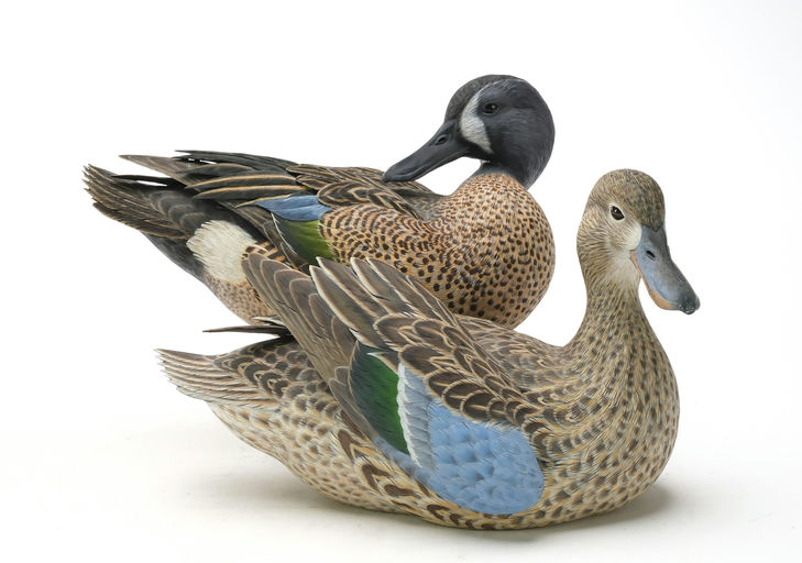 Ben A. Heinemann – Blue-winged Teal – 2025