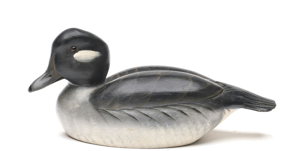 Ward Brothers – Bufflehead – 2026