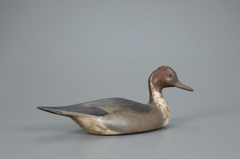 Ward Brothers – Pintail Drake – 2020