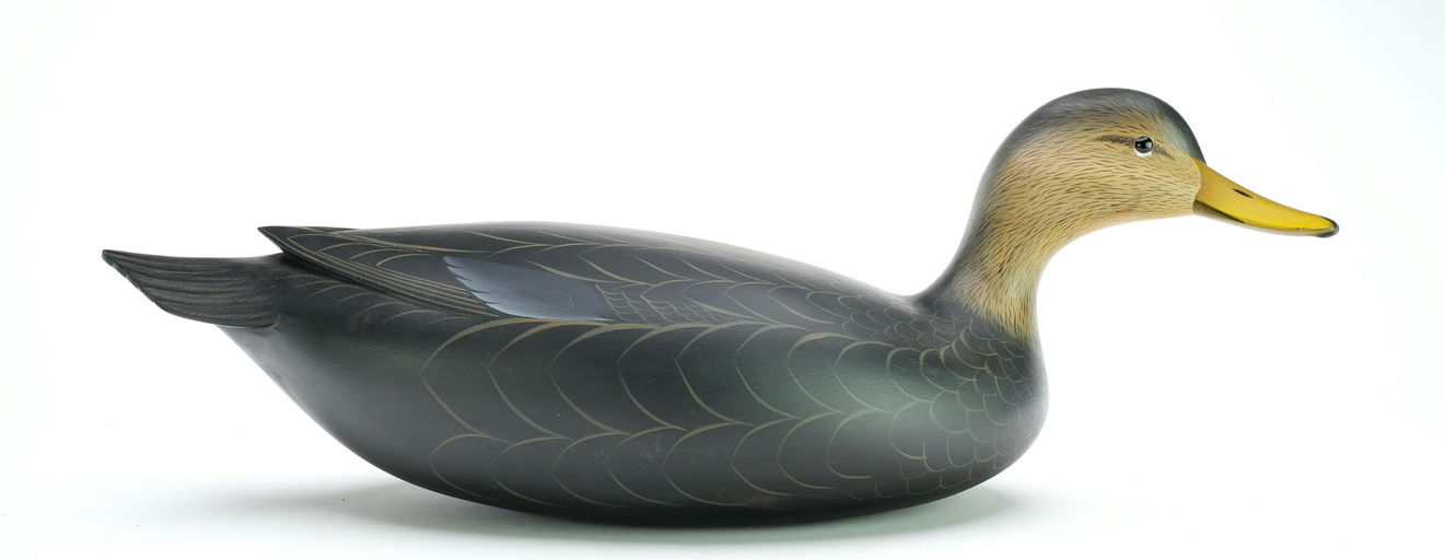 George Strunk – Black Duck – 2025