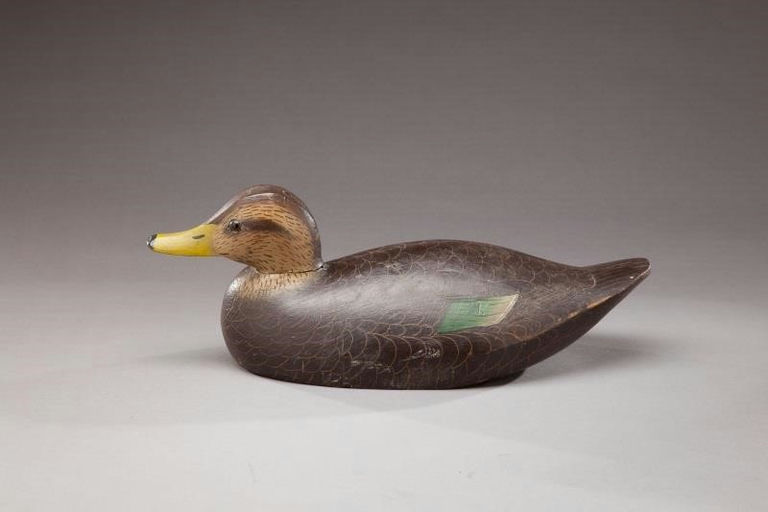 Lloyd Aaron Sterling – Black Duck – 2013