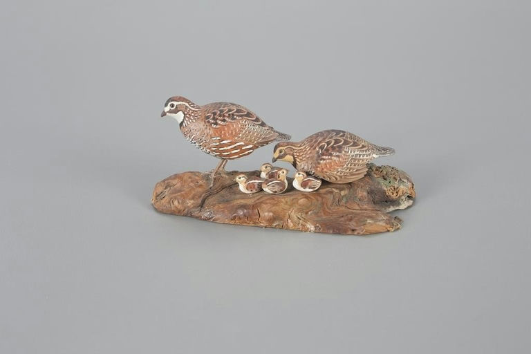 Allen J. King – Miniature Quail Family – 2023