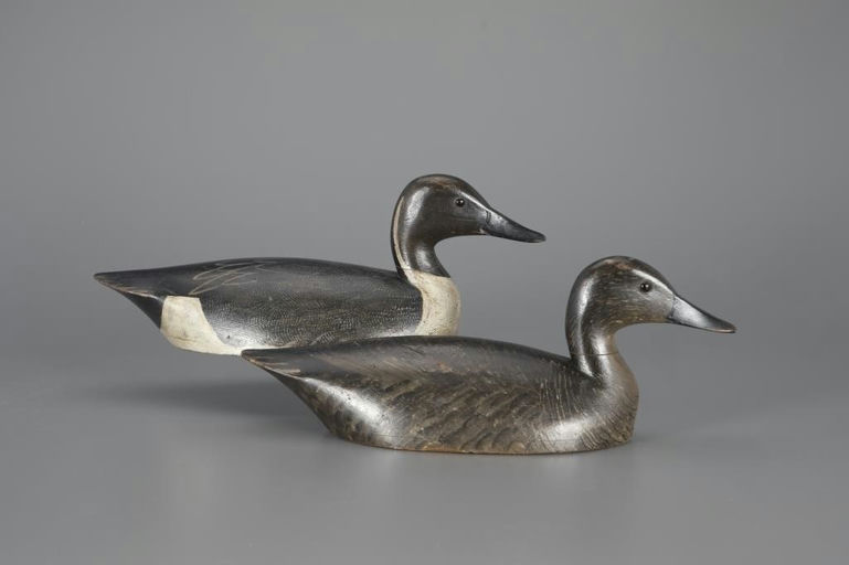 John R. Wells – Pintail Pair – 2024