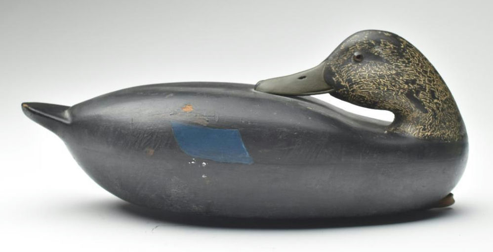 Shang Wheeler – Black Duck – 2023