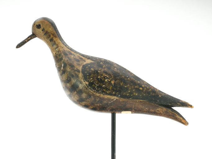 Joseph Lincoln – Golden Plover – 2025