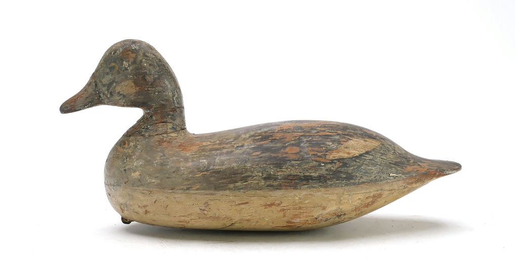 Harry V. Shourds – Bufflehead – 2025