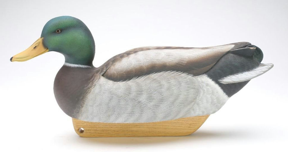 Tom Matus – Mallard – 2023