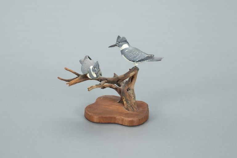 Allen J. King – Rare Miniature Belted Kingfisher Pair – 2022