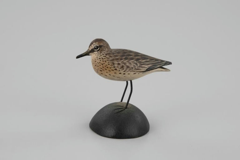 Elmer Crowell – Miniature Least Sandpiper – 2026