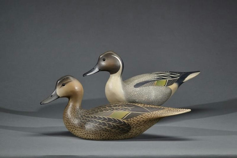 Oliver Lawson – Pintail Pair – 2017