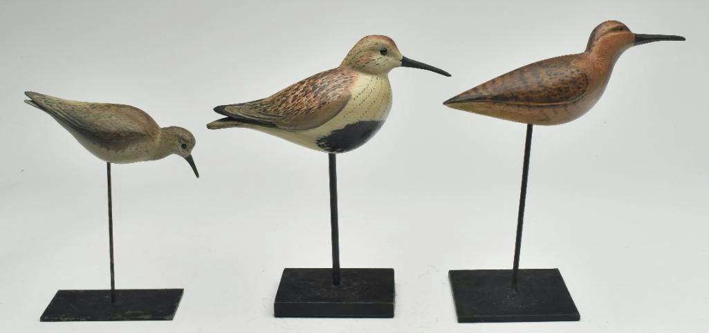 Bill Gibian – Shorebird – 2023