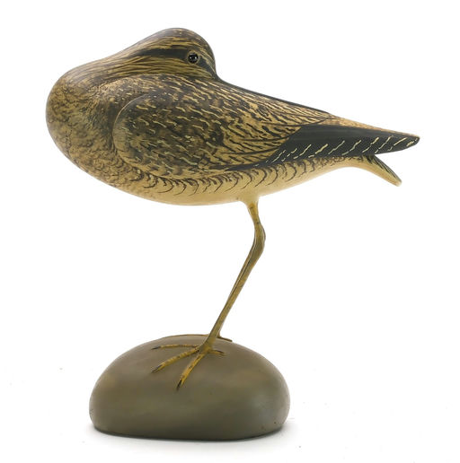 Marty Collins – Preening Yellowlegs – 2024
