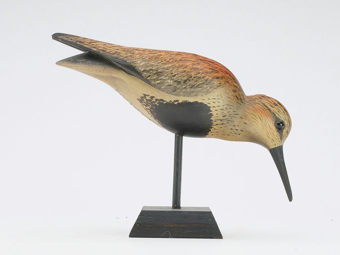 Bill Gibian – Dunlin – 2024