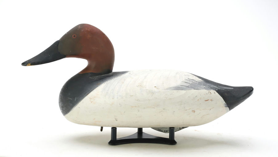 R. Madison Mitchell – Canvasback – 2025