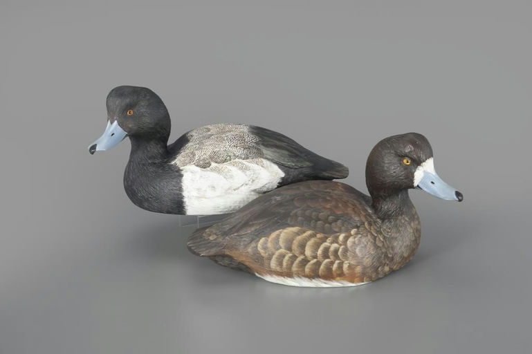 John Scheeler – Bluebill Pair – 2024