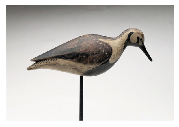 Mark McNair – Early Ruddy Turnstone – 2021