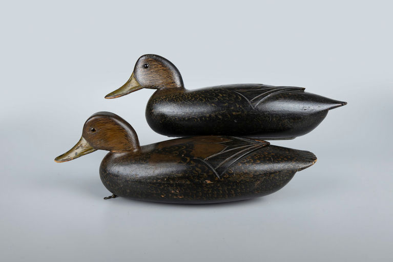 Al Reitz – Black Duck Pair – 2026
