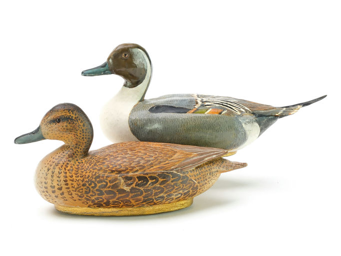 Tom Schroeder – Pintail – 2025