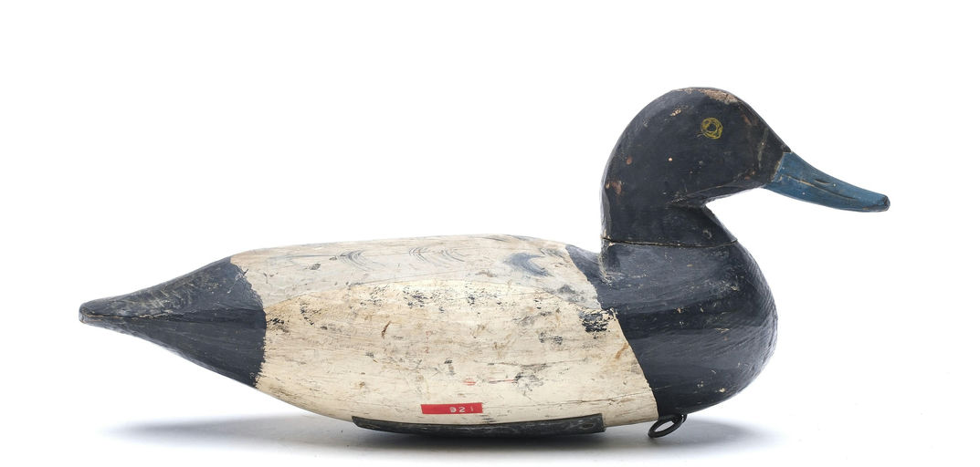 Doug Jester – Scaup – 2026