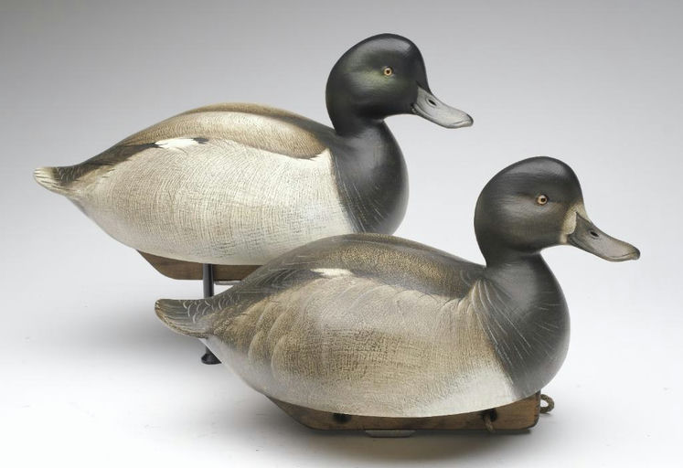 Jim Schmiedlin – Pair of Bluebill – 2023