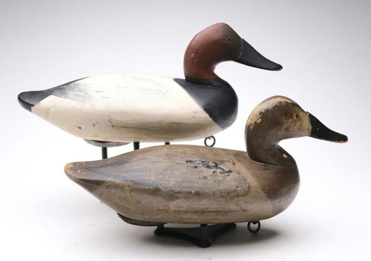 James Currier – Canvasback – 2024