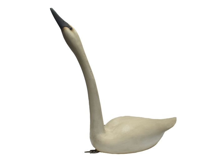 Frank Finney – Sculptural swan – 2023