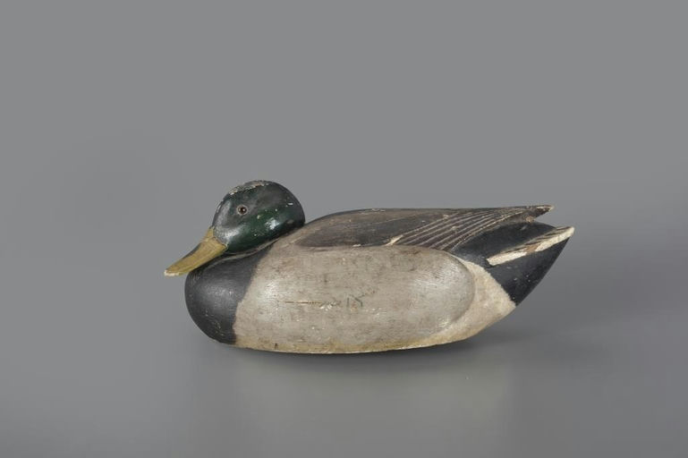 Ferdinand L. Homme – Tucked-head Mallard – 2024