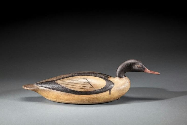 Mark McNair – Common Merganser – 2016