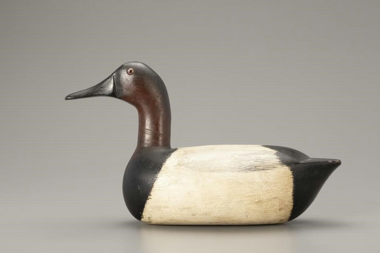 Jack Eppel – Canvasback Drake – 2018