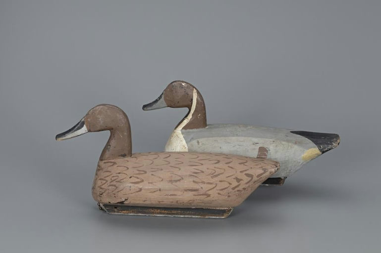 Callie O'Neal – Pintail Pair – 2019