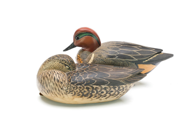 Grayson Chesser – Pair of Green-winged Teal – 2025