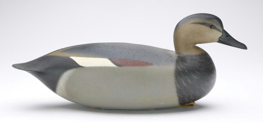 Rick Brown – Gadwall – 2023