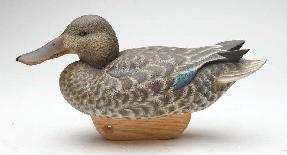 Tom Matus – Shoveler Hen – 2023