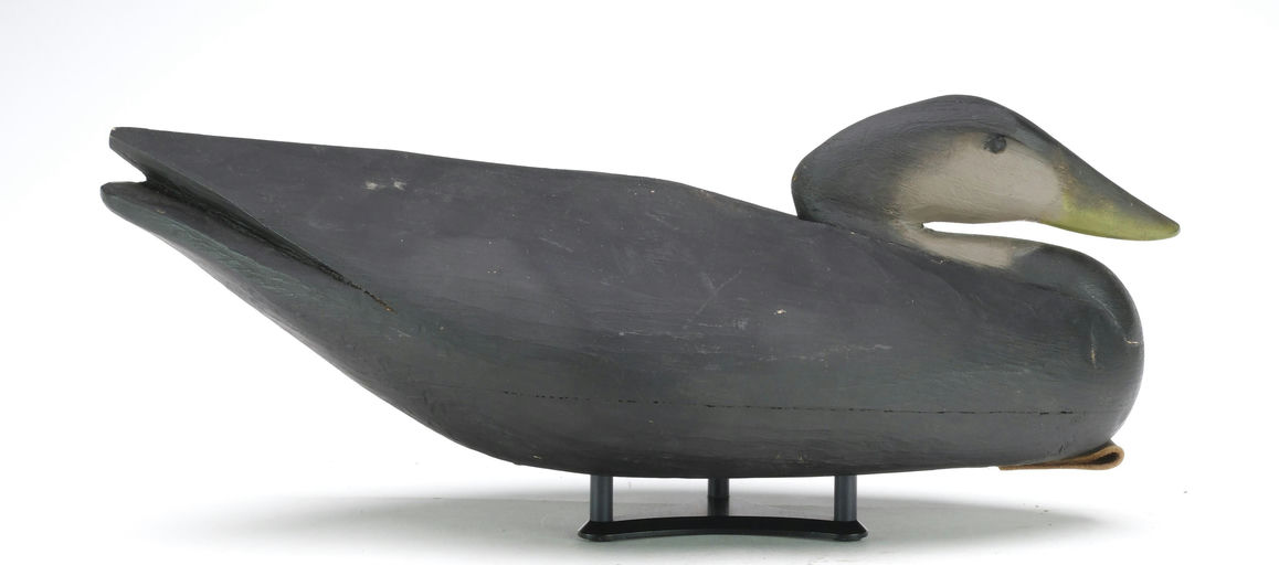 Pete Peterson – Black Duck – 2024