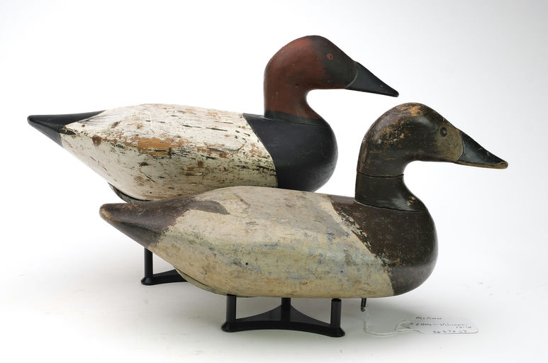 Bob McGaw – Pair of Canvasback – 2024