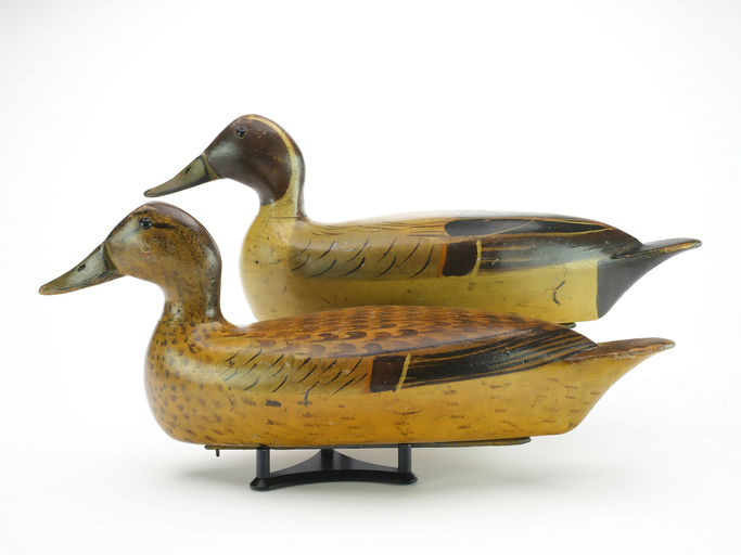 Bert Graves – Pintail – 2024