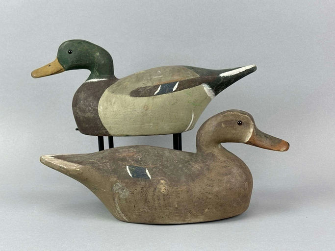 Ron Koch – Mallard Duck – 2026