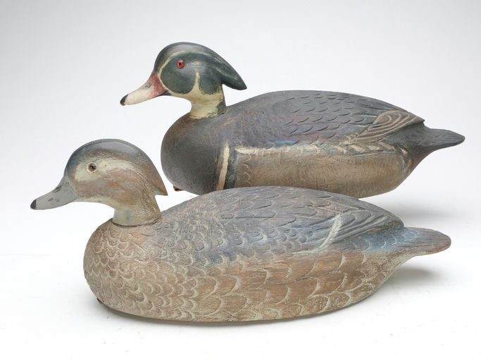 Ben Schmidt — Pair of Wood Duck
