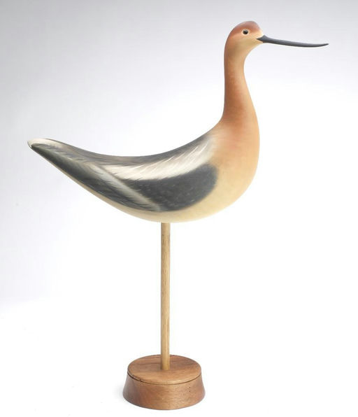 Sean Sutton – Avocet – 2023