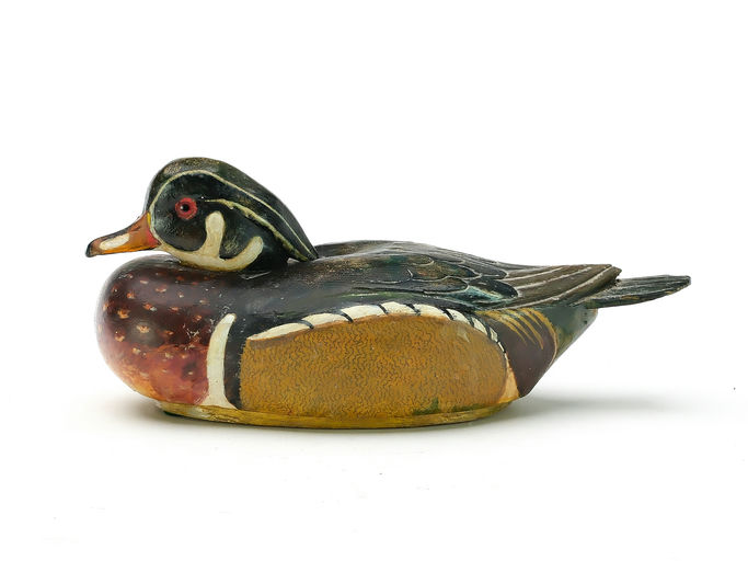 Tom Schroeder – Wood Duck – 2025