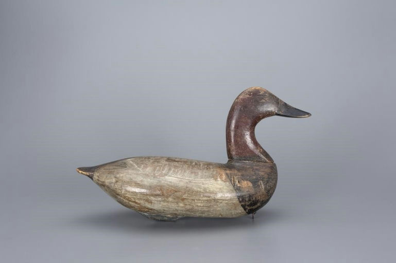 Taylor Boyd – Canvasback Drake – 2017